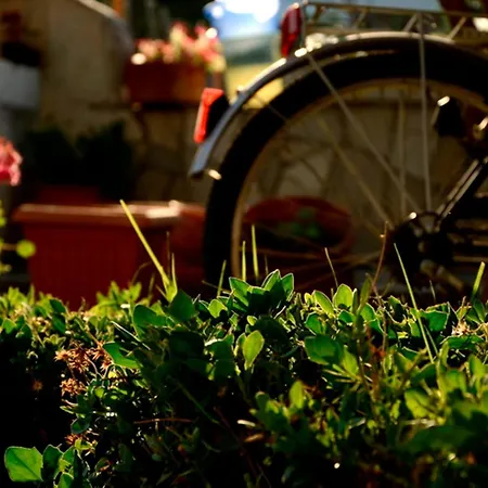 Apartament Garden House